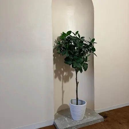 Evasio, Au Pied Du Chateau Fort, Parking Prive