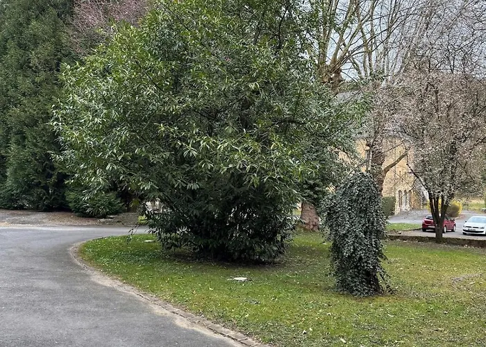 Apartment Evasio, Au Pied Du Chateau Fort, Parking Prive *